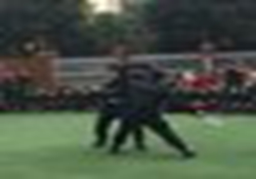 三年级蚂蚁作文300字【优秀12篇】 白