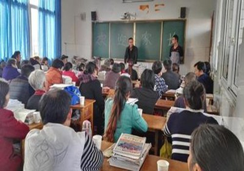 我选我的教案设计【优秀10篇】 白话文_